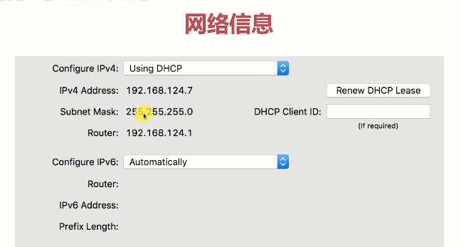 国外udp地址怎么访问（udp外网）-图2