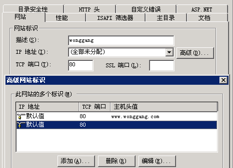 泛解析怎么设置主机（泛解析有什么危害）-图1