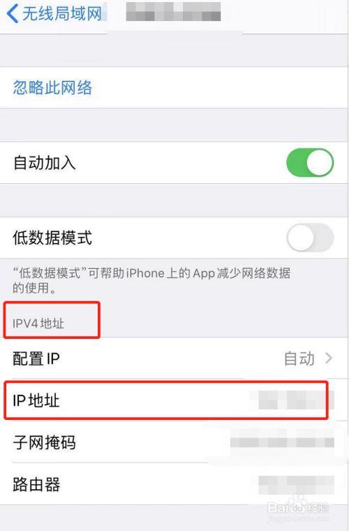 ip密码怎么查看（苹果手机的ip密码怎么看）-图2