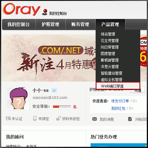 oray怎么使用（oray官网）-图3