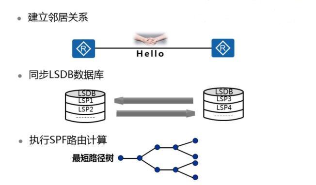 lisp协议工作原理（lsp协议可能）-图1