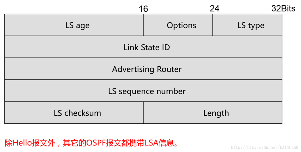 OSPF术语（ospf的中文含义）-图2