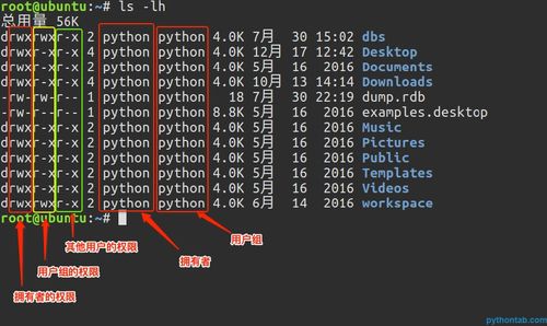 Linux目录权限怎么看（linux如何看目录权限）-图2