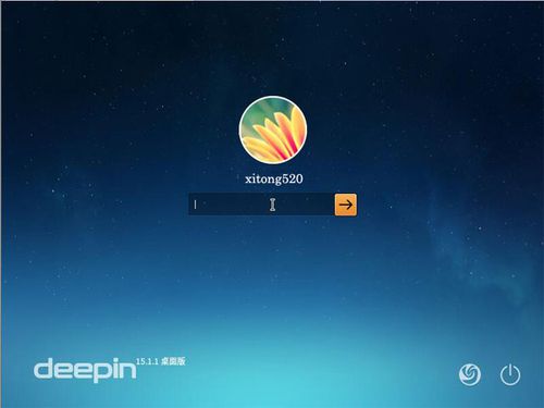 deepinlinux主题，deepin 主题（deepin主题安装）-图3