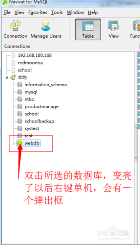 如何Navicat查看已保存的数据库密码（Navicat怎样导入导出SQL文件)-图3