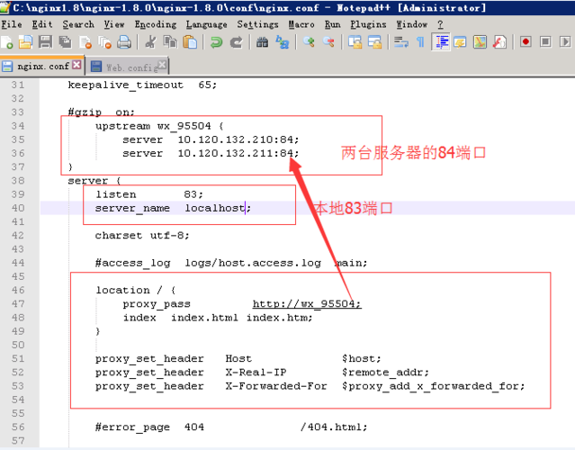 LINUX里怎样运行exe文件，iis配置下载文件夹-图1