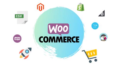 两大外贸电商建站系统WooCommerce VS Magento对比（外贸建站系统哪个比较好）-图3