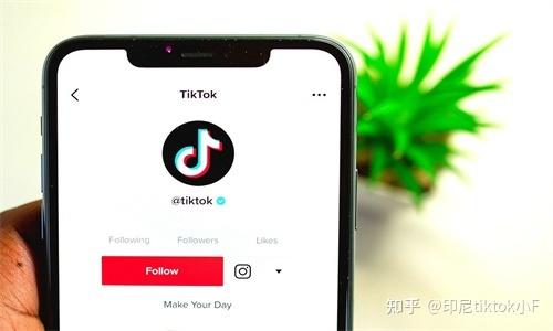 tiktok服务器怎么购买，境外服务器怎么获得ip-图2