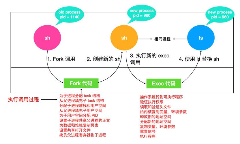 Linux中进程分为哪几类?（linux中进程分为哪几类类型）-图3