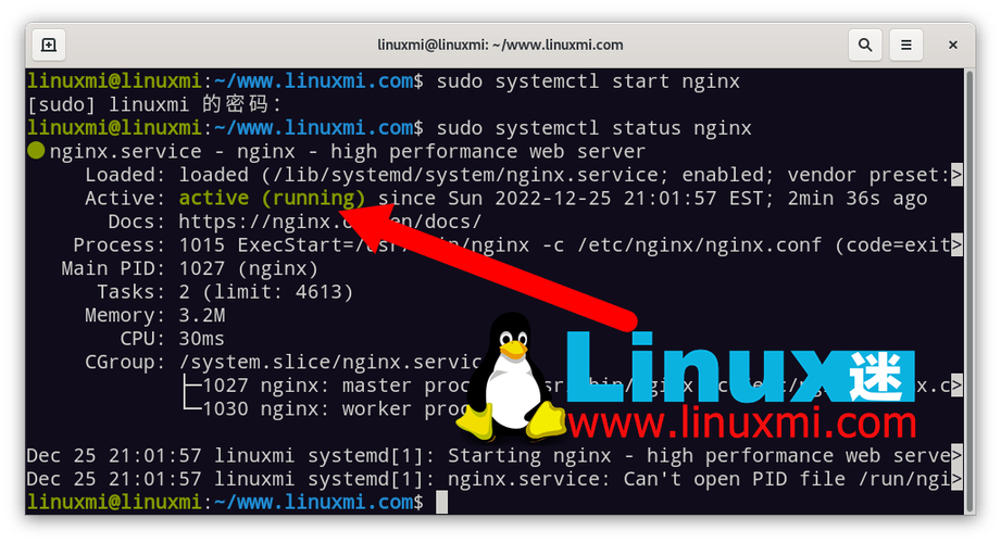 如何在Debian 10 Linux上安装Nginx（如何在Debian Linux上安装Nginx)-图1