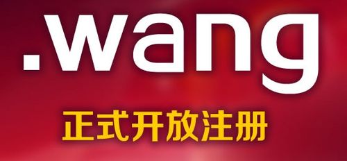 wang域名怎么注册（.wang域名注册）-图1