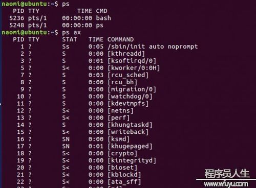 Linux命令别名与资源文件有什么区别（linux命令别名与资源文件有什么区别呢）-图2