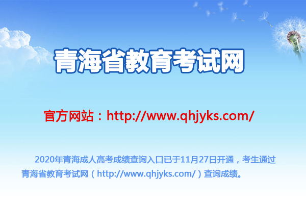 青海网站建设的重要性是什么,青海网站建设的现状与发展（2023青海中考成绩怎么查询)-图2