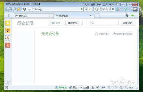 如何快速查询网站的历史记录,网站历史记录查询方法大全（开启无痕浏览了怎么查看历史)-图2