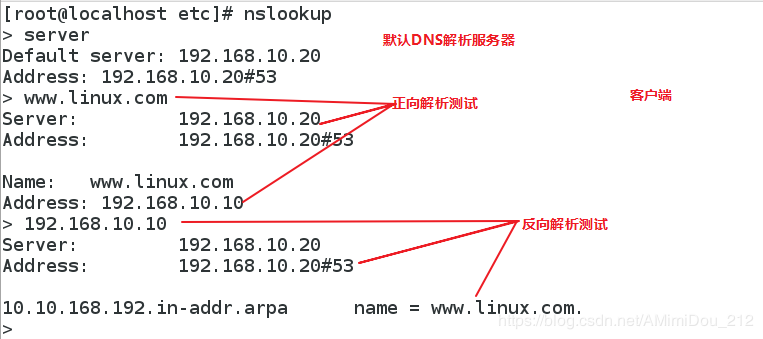 服务器怎么解析域名（服务器怎么解析域名解析）-图2