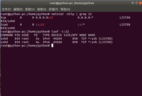 ubuntu检查端口是否开启，云服务器ubuntu怎么监听端口命令的-图1