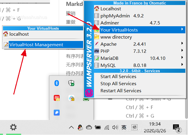 windows服务器如何配置wamp的虚拟域名（wamp设置虚拟主机）-图3