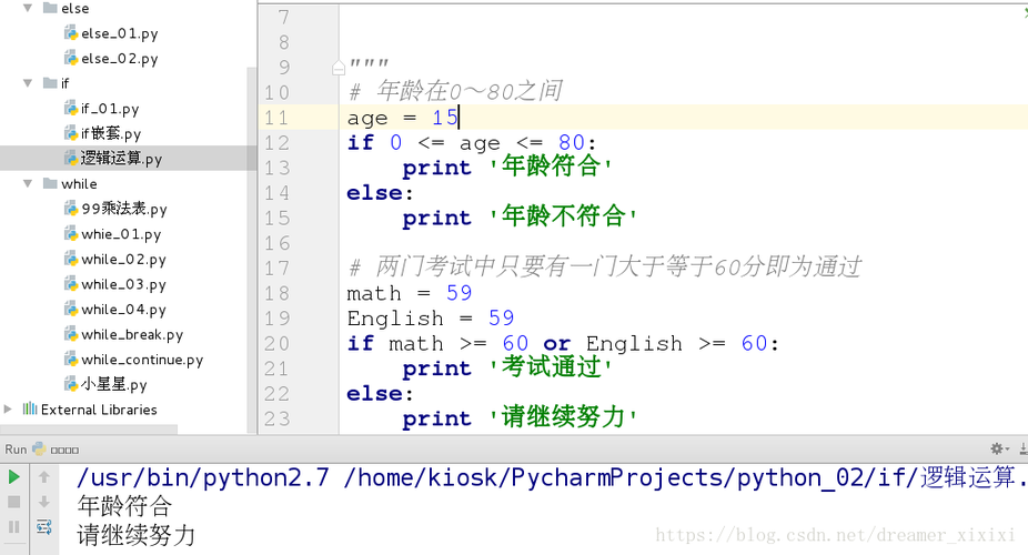 python中if怎么判断2个条件，python多个条件判断语句-图1