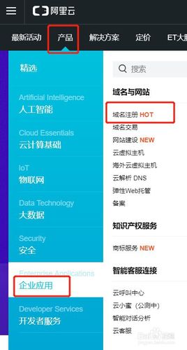 怎么在阿里云购买域名（怎么购买域名)-图2