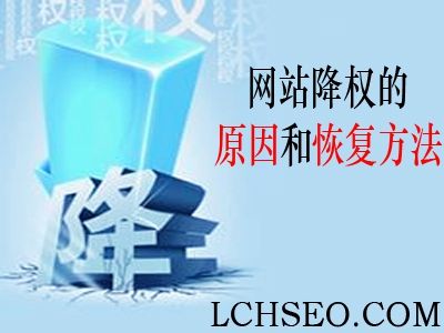 分析网站降权后的降权原因（分析网站降权后的降权原因怎么写）-图1