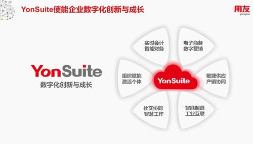 gsuite怎么注册（用友yonsuite教程)-图2