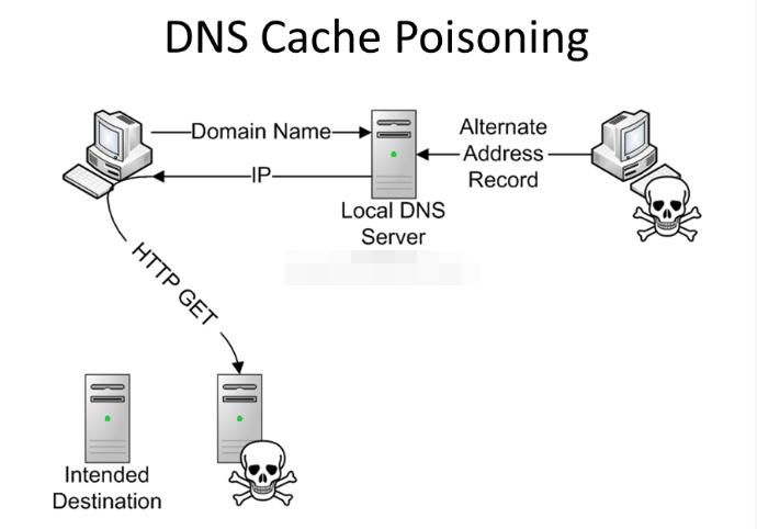 dns泄露什么意思，怎么污染DNA-图2