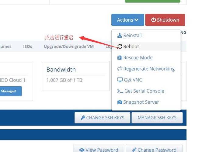 大阳VPS极致版可以改导航屏吗，vps怎么改密码-图1