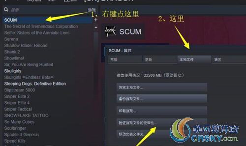 scum服务器哪个好，如何选择新加坡服务器地址-图3