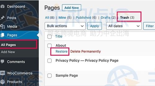 WordPress网站如何恢复已删除的页面（wordpress恢复初始页面）（用主题设置完之后怎么恢复原样呢)-图2