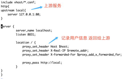 nginx反向代理不能配置域名，nginx反向代理服务器作用-图1