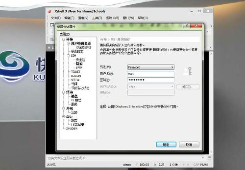 VPS从哪里登陆，vps远程教程-图2