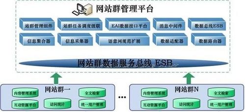 站群系统是什么，站群seo怎么做-图1