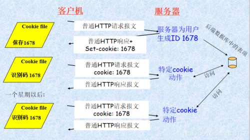 代理IP服务器遇到的HTTP状态码有哪些（tcpip协议规定http进程的服务器端口号为)-图3