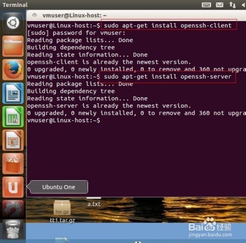 linux系统变为只读出现提示Read-only file system的解决办法（ubuntu文件为什么只能只读)-图2