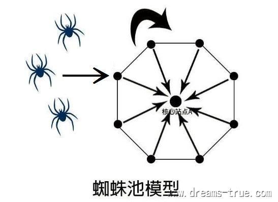 什么是蜘蛛池，蜘蛛池怎么出售的-图3