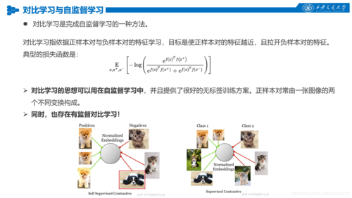 有监督学习无监督学习半监督学习区分，无监督学习算法有哪些（有监督 无监督 半监督）-图3