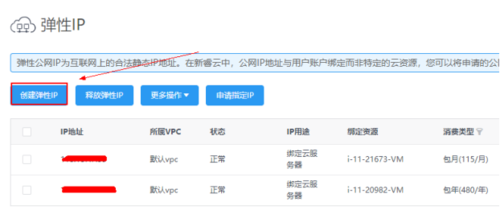 弹性云服务器多ip租用怎么配置（弹性云服务器多ip租用怎么配置的）-图1