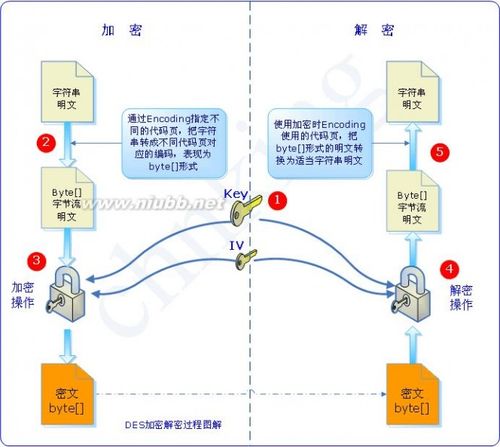 dss加密算法，海外服务器可以采用什么算法加密数据库-图2