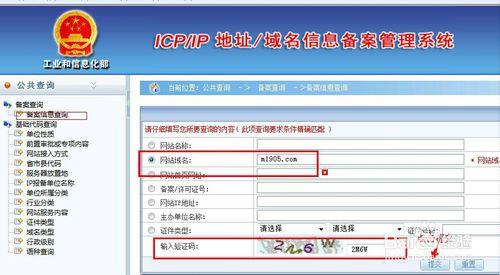 icp服务备案码怎么查，域名备案时间怎么查询不到-图3
