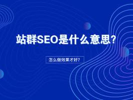 SEO里说的站群是什么意思，站群服务器推荐-图2