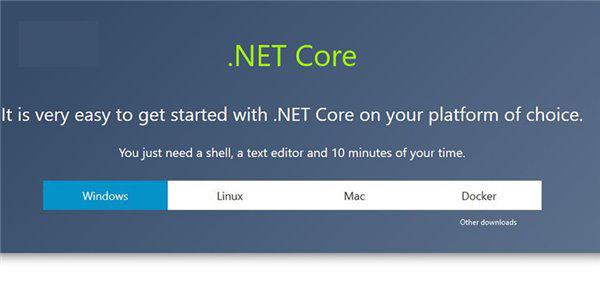 .NET 5.0将于2022年5月8日结束支持（.net 5.0 发布）（.net framework 5.0发布）-图1