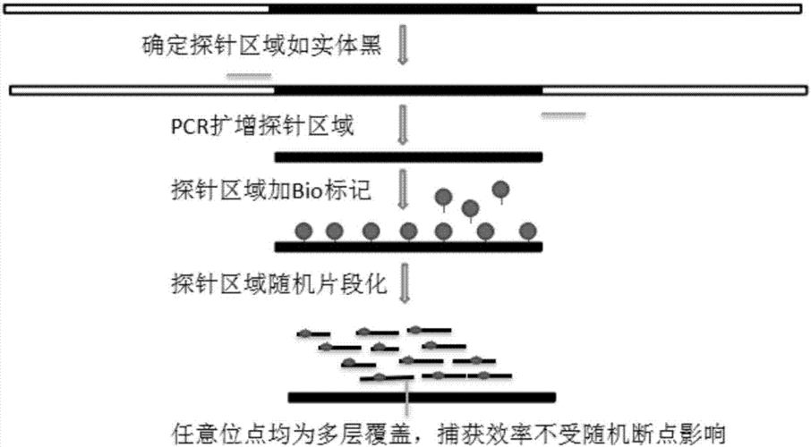 数据库探针技术有哪些特点（数据库探针技术有哪些特点呢）-图3