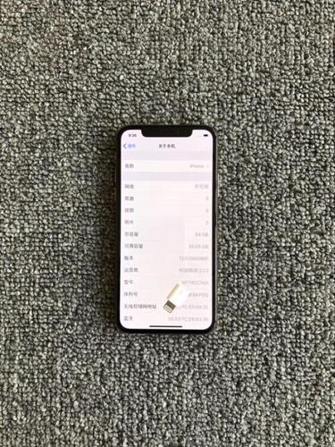 苹果xsmax怎么黑屏拍照（iphone xs max前置摄像头拍不了)-图2