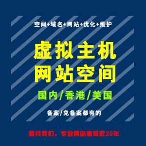 海外虚拟主机租用适合搭建哪些网站（建立一个公司网站的费用.有哪些部分,分别要多少钱)-图3