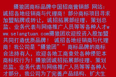 域名代理商大揭秘：如何选择最优秀的代理商？（域名代理是什么意思）-图3