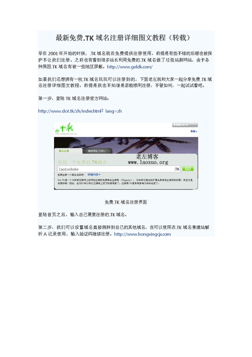 tk怎么注册免费域名（tk域名注册教程）-图2