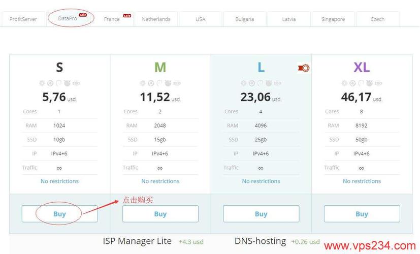 俄罗斯vps租用哪家好怎么选择（俄罗斯vps哪家便宜）-图2