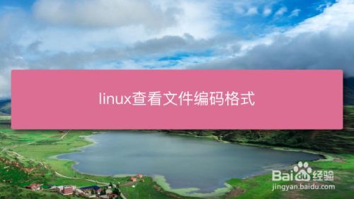 编码器怎么查询编码，如何查看linux的编码方式是什么-图2