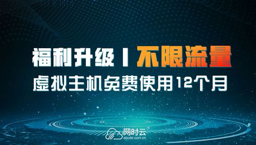 虚拟主机月流量是指什么，企业虚拟主机租用多少钱一个月啊-图2