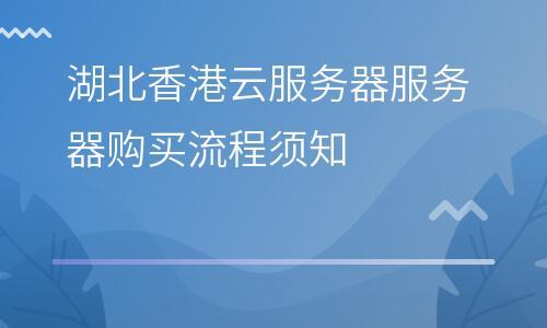 购买香港服务器需要注意什么（购买香港服务器需要注意什么问题）-图1